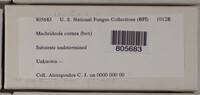 Image Associated With the Occurence
